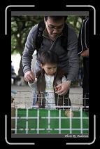 IMG_1731 * 566 x 910 * (215KB)