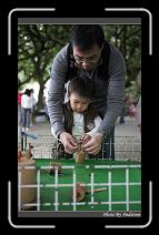 IMG_1733 * 566 x 910 * (223KB)