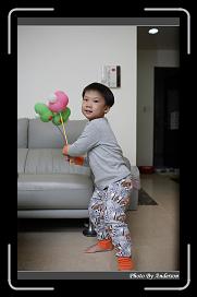 IMG_2218 * 566 x 910 * (215KB)