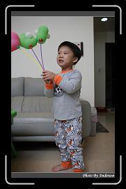 IMG_2219 * 566 x 910 * (216KB)