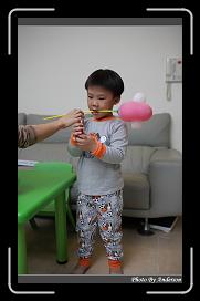 IMG_2223 * 566 x 910 * (210KB)