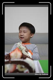 IMG_2260 * 566 x 910 * (236KB)