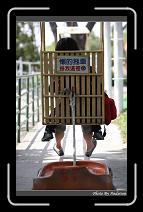 IMG_2030 * 566 x 910 * (228KB)