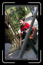 IMG_2099 * 566 x 910 * (218KB)