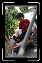 IMG_2103 * 566 x 910 * (218KB)