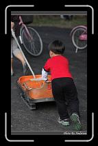 IMG_2123 * 566 x 910 * (245KB)