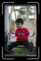 IMG_2177 * 566 x 910 * (235KB)