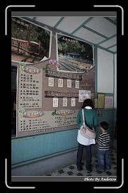 IMG_2287 * 566 x 910 * (236KB)