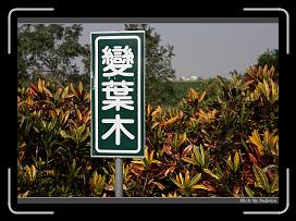 IMG_2361 * 850 x 608 * (248KB)
