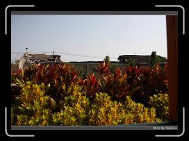 IMG_2413 * 850 x 608 * (240KB)