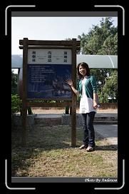 IMG_2417 * 566 x 910 * (237KB)