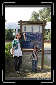 IMG_2420 * 566 x 910 * (239KB)