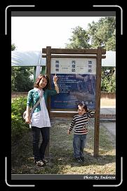 IMG_2422 * 566 x 910 * (248KB)