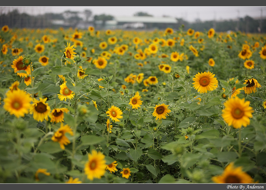 下一張幻燈片