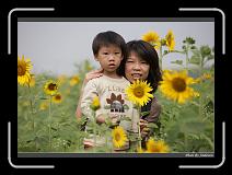 IMG_2557 * 850 x 608 * (224KB)