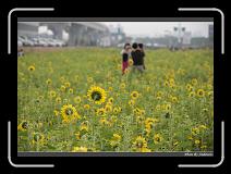 IMG_2560 * 850 x 608 * (247KB)