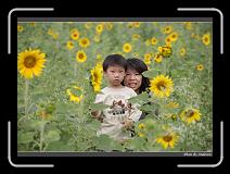 IMG_2563 * 850 x 608 * (243KB)