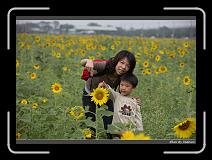 IMG_2571 * 850 x 608 * (240KB)