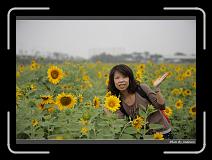IMG_2583 * 850 x 608 * (218KB)