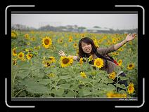 IMG_2585 * 850 x 608 * (233KB)