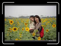 IMG_2586 * 850 x 608 * (232KB)