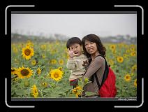 IMG_2587 * 850 x 608 * (217KB)
