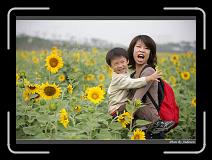 IMG_2589 * 850 x 608 * (229KB)