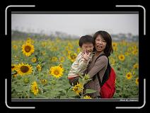 IMG_2590 * 850 x 608 * (223KB)