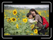 IMG_2591 * 850 x 608 * (230KB)