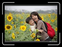 IMG_2592 * 850 x 608 * (238KB)