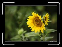 IMG_2593 * 850 x 608 * (222KB)