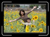 IMG_2612 * 850 x 608 * (244KB)