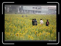 IMG_2626 * 850 x 608 * (241KB)