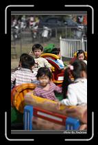 IMG_2651 * 566 x 910 * (244KB)