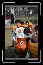 IMG_2652 * 566 x 910 * (225KB)