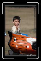 IMG_2660 * 566 x 910 * (235KB)