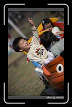 IMG_2665 * 566 x 910 * (220KB)