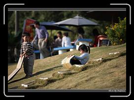 IMG_3019 * 850 x 608 * (236KB)
