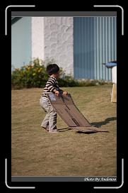 IMG_3031 * 566 x 910 * (233KB)