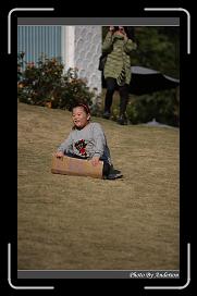 IMG_3033 * 566 x 910 * (235KB)