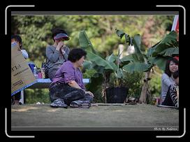 IMG_3102 * 850 x 608 * (235KB)