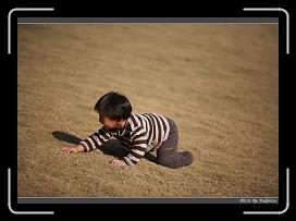 IMG_3113 * 850 x 608 * (219KB)