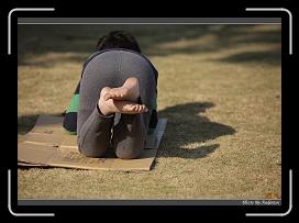 IMG_3164 * 850 x 608 * (229KB)