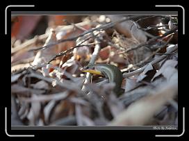 IMG_3267 * 850 x 608 * (228KB)