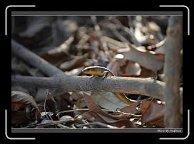 IMG_3272 * 850 x 608 * (243KB)