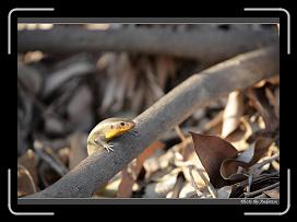 IMG_3279 * 850 x 608 * (238KB)