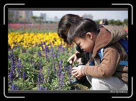 IMG_3364 * 850 x 608 * (245KB)