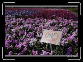 IMG_3369 * 850 x 608 * (245KB)