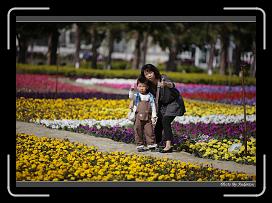 IMG_3393 * 850 x 608 * (241KB)