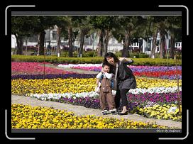 IMG_3394 * 850 x 608 * (247KB)